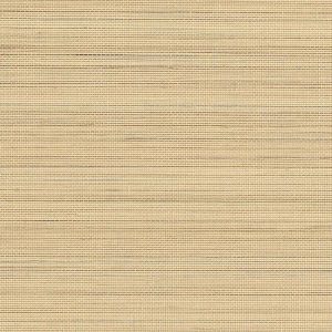 Abaca Harvest - Brown, Gold, Orange, Yellow, 23700-Abaca Harvest-Sunlit Sands